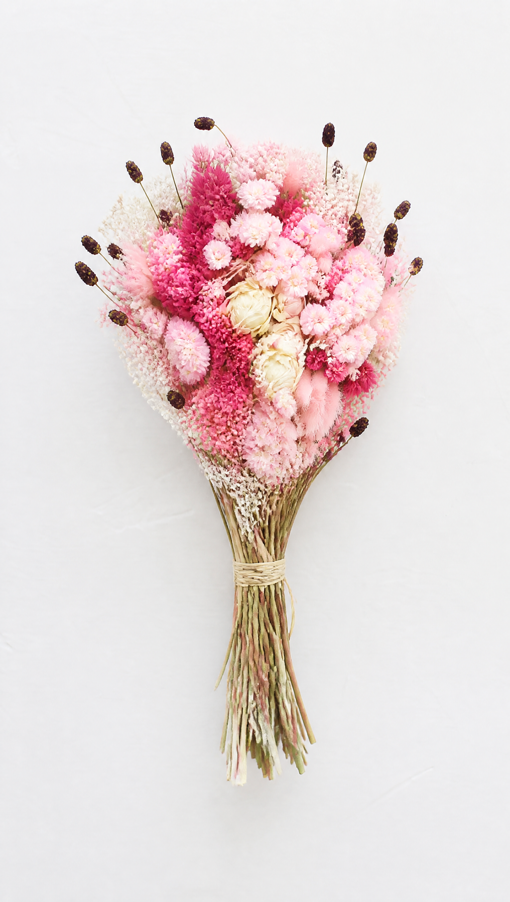 fleur séchée rose