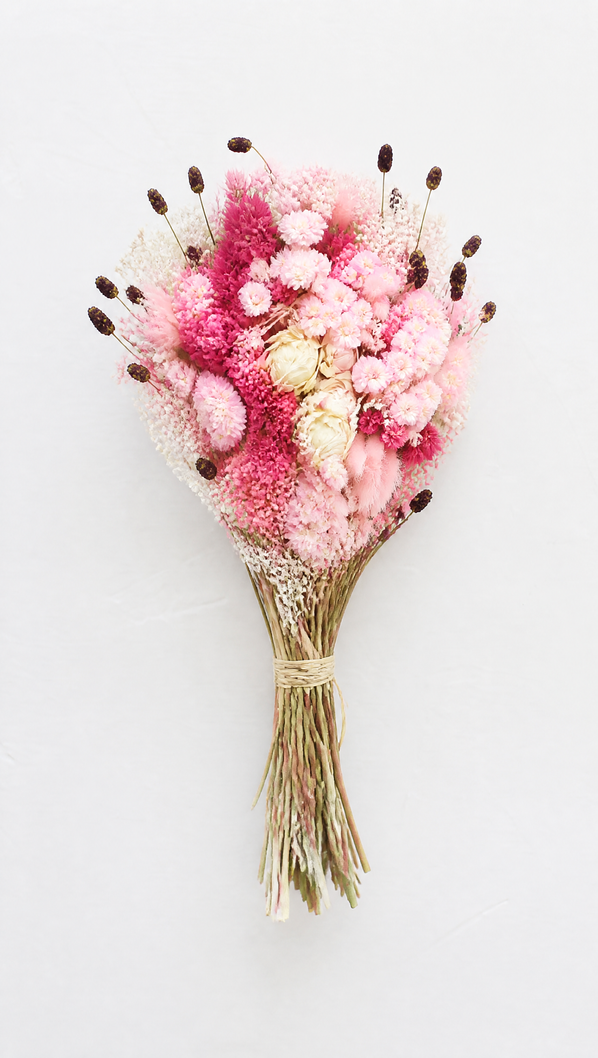 fleur séchée rose
