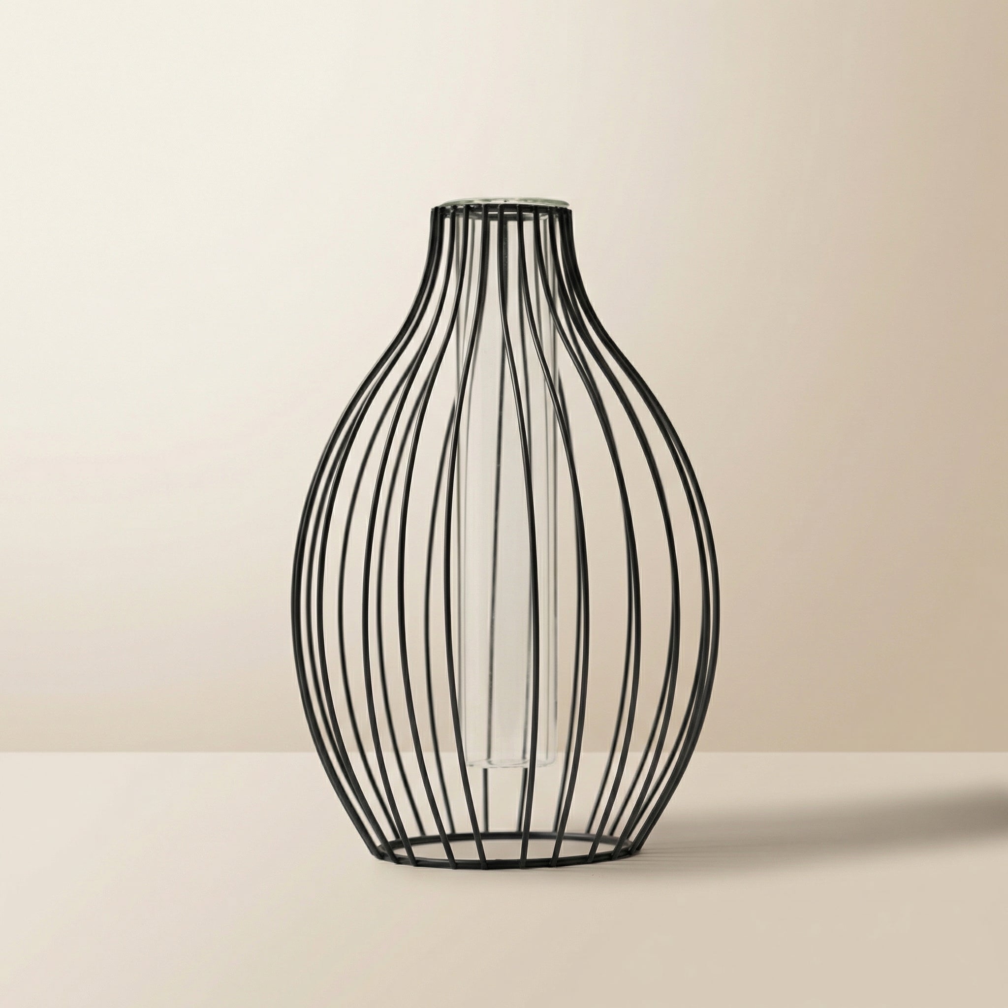 Vase Statement Outline |Noir